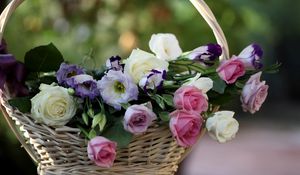 Preview wallpaper roses, lisianthus russell, flowers, basket, blurring