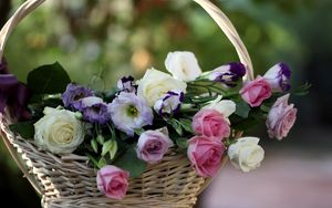 Preview wallpaper roses, lisianthus russell, flowers, basket, blurring