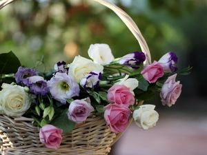 Preview wallpaper roses, lisianthus russell, flowers, basket, blurring