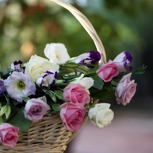 Preview wallpaper roses, lisianthus russell, flowers, basket, blurring