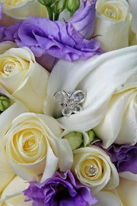 Preview wallpaper roses, lisianthus russell, flowers, bouquet, drops, decorations