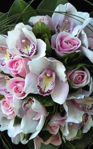 Preview wallpaper roses, orchids, flowers, bouquets, composition, design, green