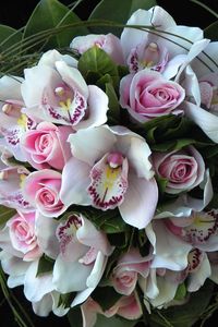 Preview wallpaper roses, orchids, flowers, bouquets, composition, design, green