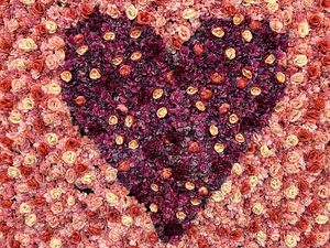 Preview wallpaper roses, petals, flowers, heart, love, romance