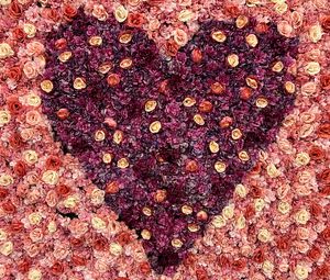 Preview wallpaper roses, petals, flowers, heart, love, romance