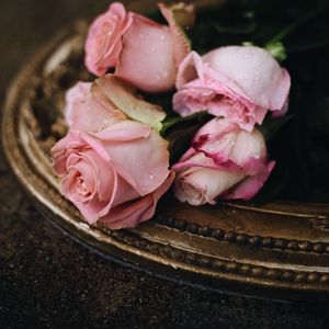 Preview wallpaper roses, pink, drops