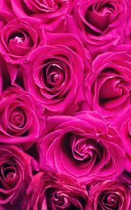 Preview wallpaper roses, pink, flowers, bouquet, petals