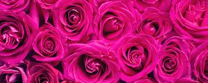 Preview wallpaper roses, pink, flowers, bouquet, petals