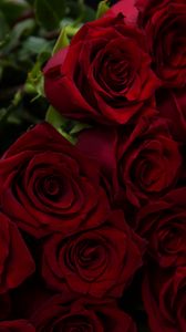 Preview wallpaper roses, red, bouquet, flowers