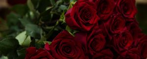 Preview wallpaper roses, red, bouquet, flowers