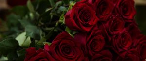 Preview wallpaper roses, red, bouquet, flowers