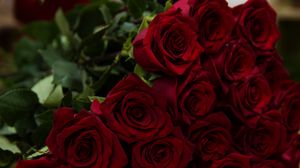 Preview wallpaper roses, red, bouquet, flowers