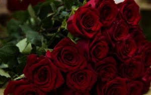 Preview wallpaper roses, red, bouquet, flowers