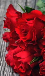 Preview wallpaper roses, red, bouquet, buds, petals, closeup