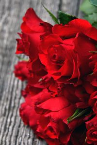 Preview wallpaper roses, red, bouquet, buds, petals, closeup