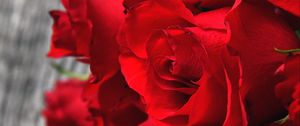 Preview wallpaper roses, red, bouquet, buds, petals, closeup