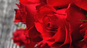 Preview wallpaper roses, red, bouquet, buds, petals, closeup