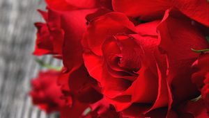Preview wallpaper roses, red, bouquet, buds, petals, closeup