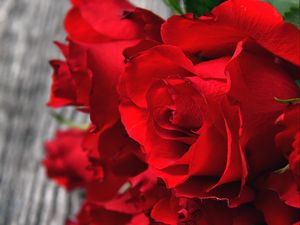 Preview wallpaper roses, red, bouquet, buds, petals, closeup