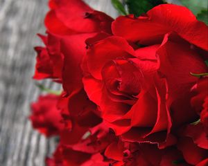 Preview wallpaper roses, red, bouquet, buds, petals, closeup