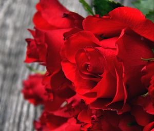 Preview wallpaper roses, red, bouquet, buds, petals, closeup