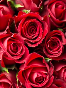 Preview wallpaper roses, red, flowers, bouquet