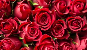 Preview wallpaper roses, red, flowers, bouquet