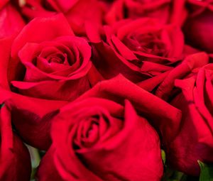Preview wallpaper roses, red, petals, bouquet