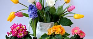 Preview wallpaper roses, tulips, herberas, hyacinths, primroses, bouquet, pots