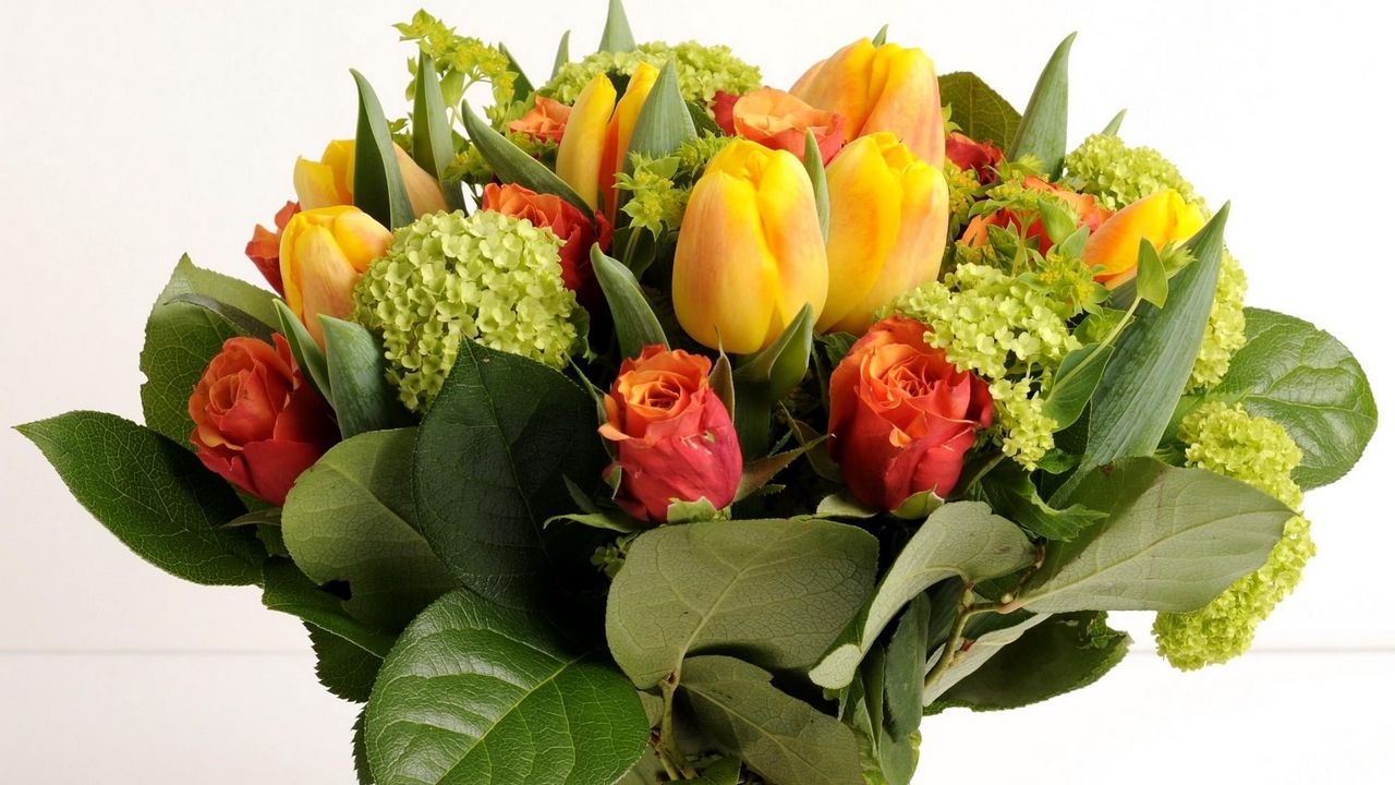 Wallpaper roses, tulips, hydrangea, bouquet, bow