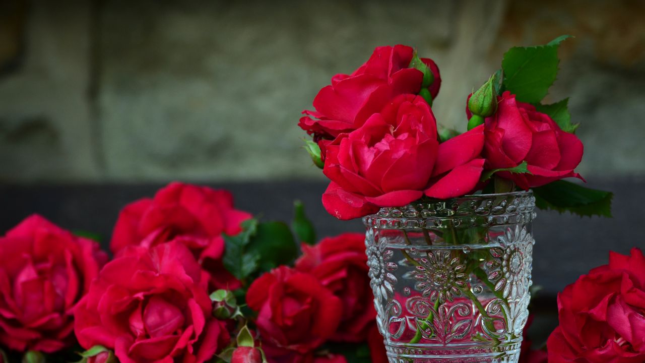 Wallpaper roses, vase, bouquet, petals