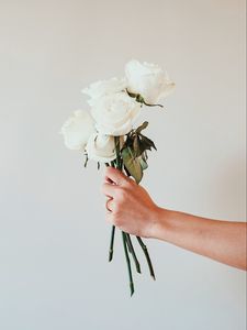 Preview wallpaper roses, white, bouquet, flowers, hand