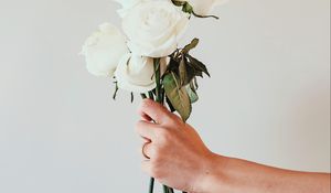 Preview wallpaper roses, white, bouquet, flowers, hand