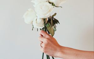 Preview wallpaper roses, white, bouquet, flowers, hand