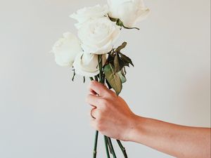 Preview wallpaper roses, white, bouquet, flowers, hand