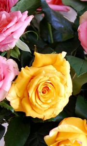 Preview wallpaper roses, yellow, pink, bouquet, buds