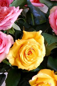 Preview wallpaper roses, yellow, pink, bouquet, buds