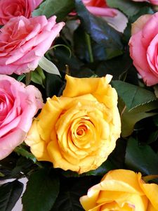 Preview wallpaper roses, yellow, pink, bouquet, buds