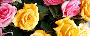 Preview wallpaper roses, yellow, pink, bouquet, buds