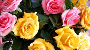 Preview wallpaper roses, yellow, pink, bouquet, buds