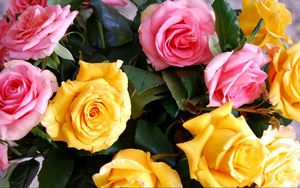 Preview wallpaper roses, yellow, pink, bouquet, buds