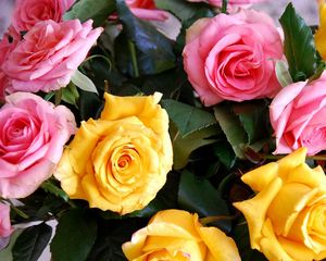 Preview wallpaper roses, yellow, pink, bouquet, buds