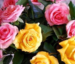 Preview wallpaper roses, yellow, pink, bouquet, buds