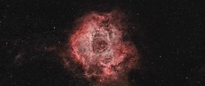 Preview wallpaper rosette nebula, nebula, space, stars