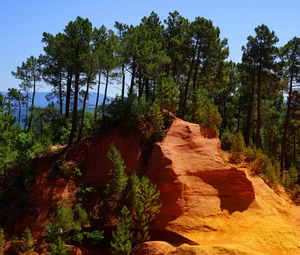 Preview wallpaper roussillon, rock, quarry, trees