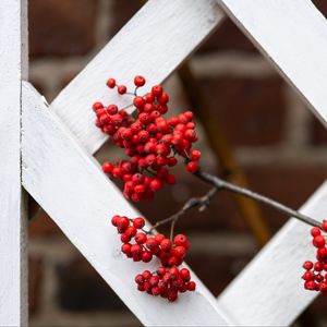 Preview wallpaper rowan, berries, red, branch, fence