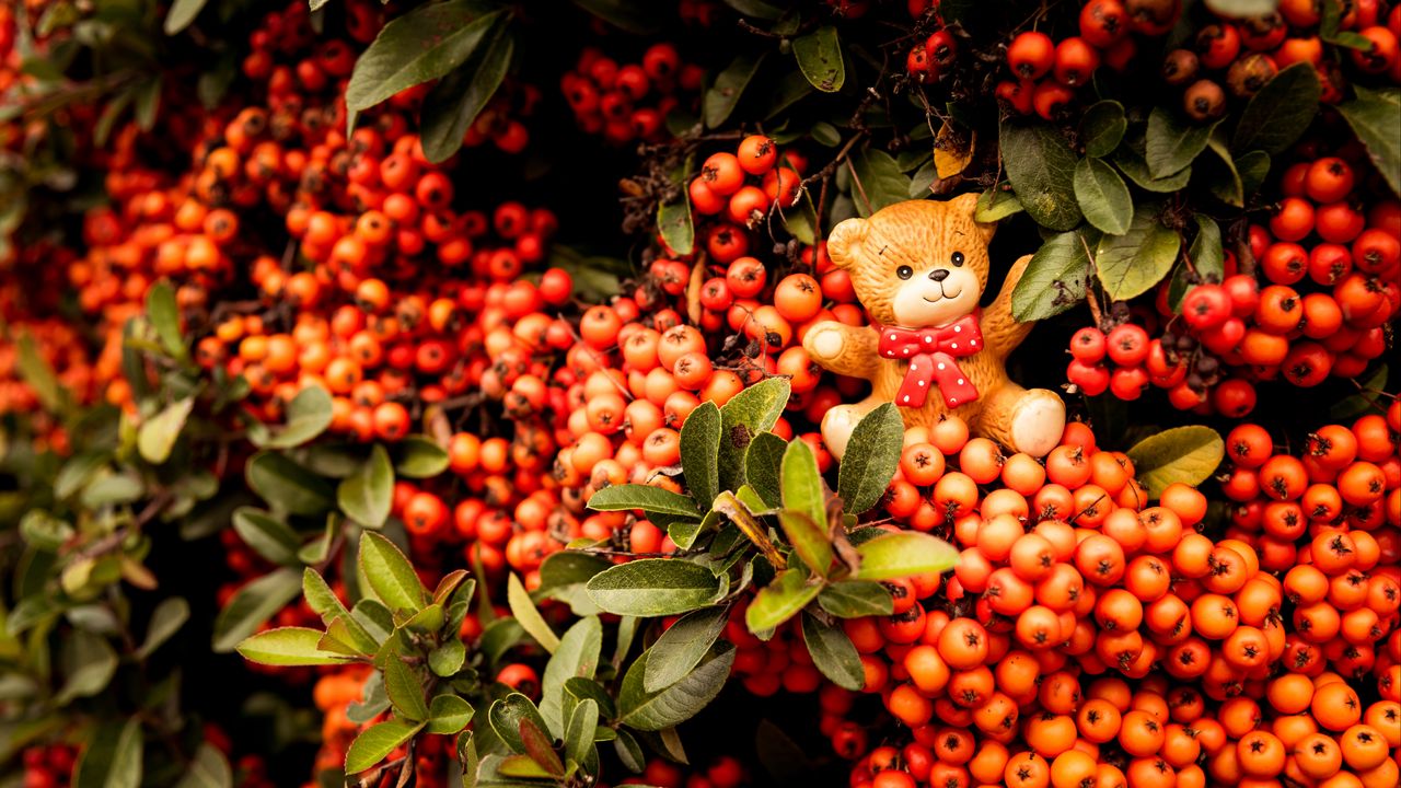 Wallpaper rowan, toy, bear, bunch, branches, berries