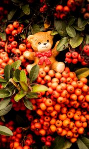 Preview wallpaper rowan, toy, bear, bunch, branches, berries