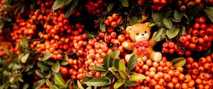 Preview wallpaper rowan, toy, bear, bunch, branches, berries