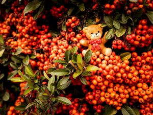 Preview wallpaper rowan, toy, bear, bunch, branches, berries